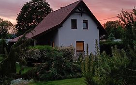 Pod klonem z sauną
